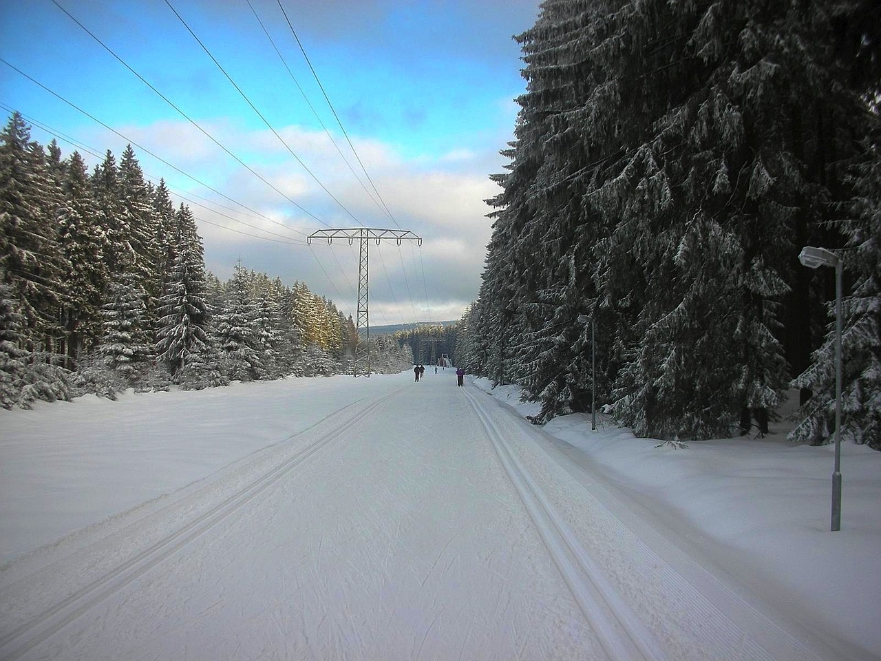 The Ultimate Guide to Cross-Country Skiing in Jackson Hole